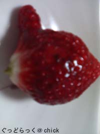 SA4100081.jpg SA4100081.jpg